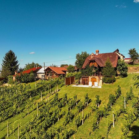 Holiday Home Wine & Relax Sveti Martin Na Muri Gornji Koncovcak Εξωτερικό φωτογραφία