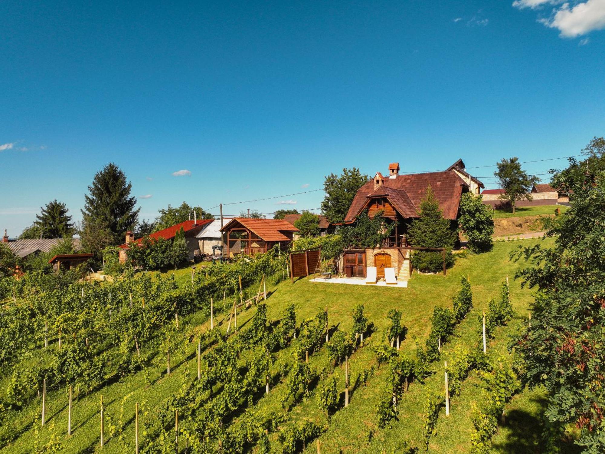 Holiday Home Wine & Relax Sveti Martin Na Muri Gornji Koncovcak Εξωτερικό φωτογραφία